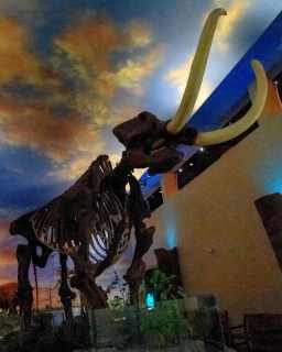 Bishop Museum