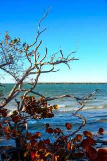 Desoto National Memorial Park
