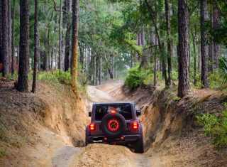 Withlacooche Park Offroad