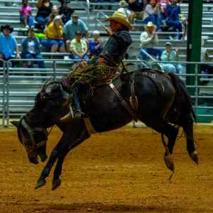 2025 Manatee PRCA Pro Rodeo